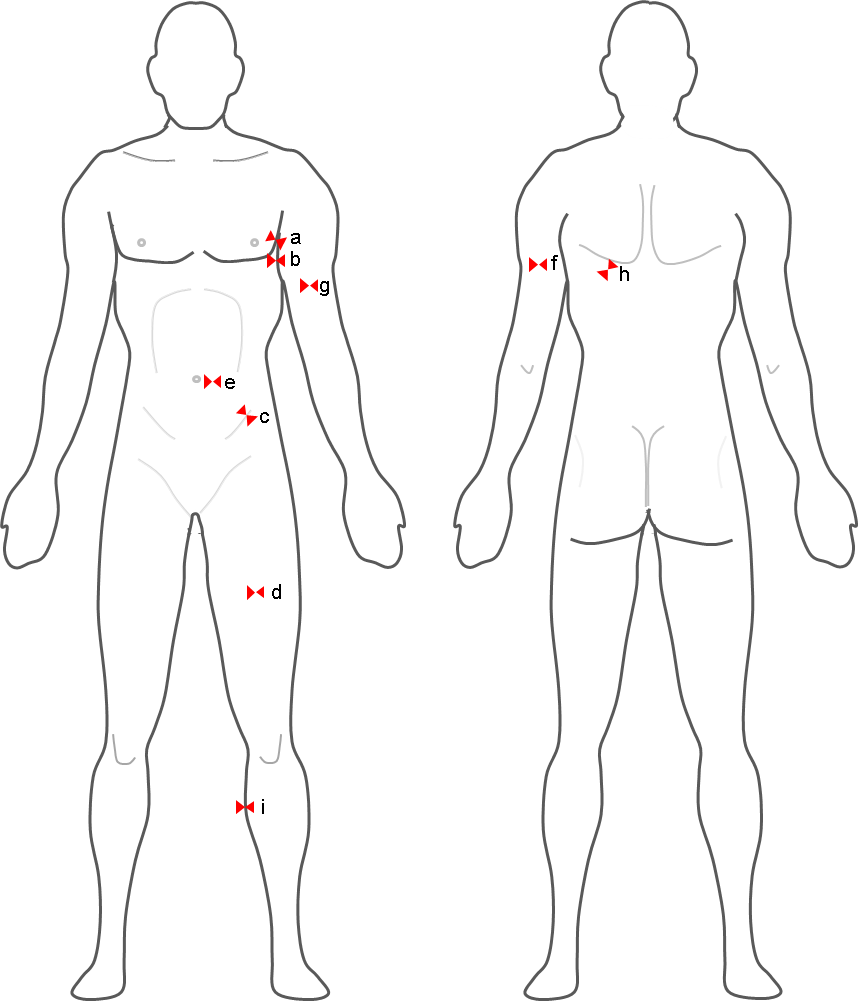https://www.measurement-toolkit.org/images/anthropometry/anatomical.png