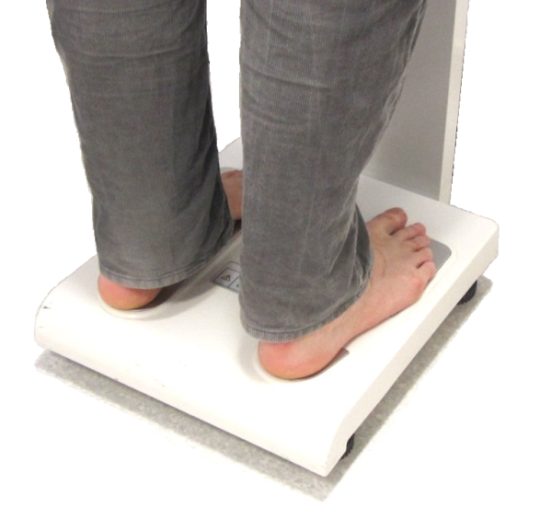 https://www.measurement-toolkit.org/images/anthropometry/bi3.png