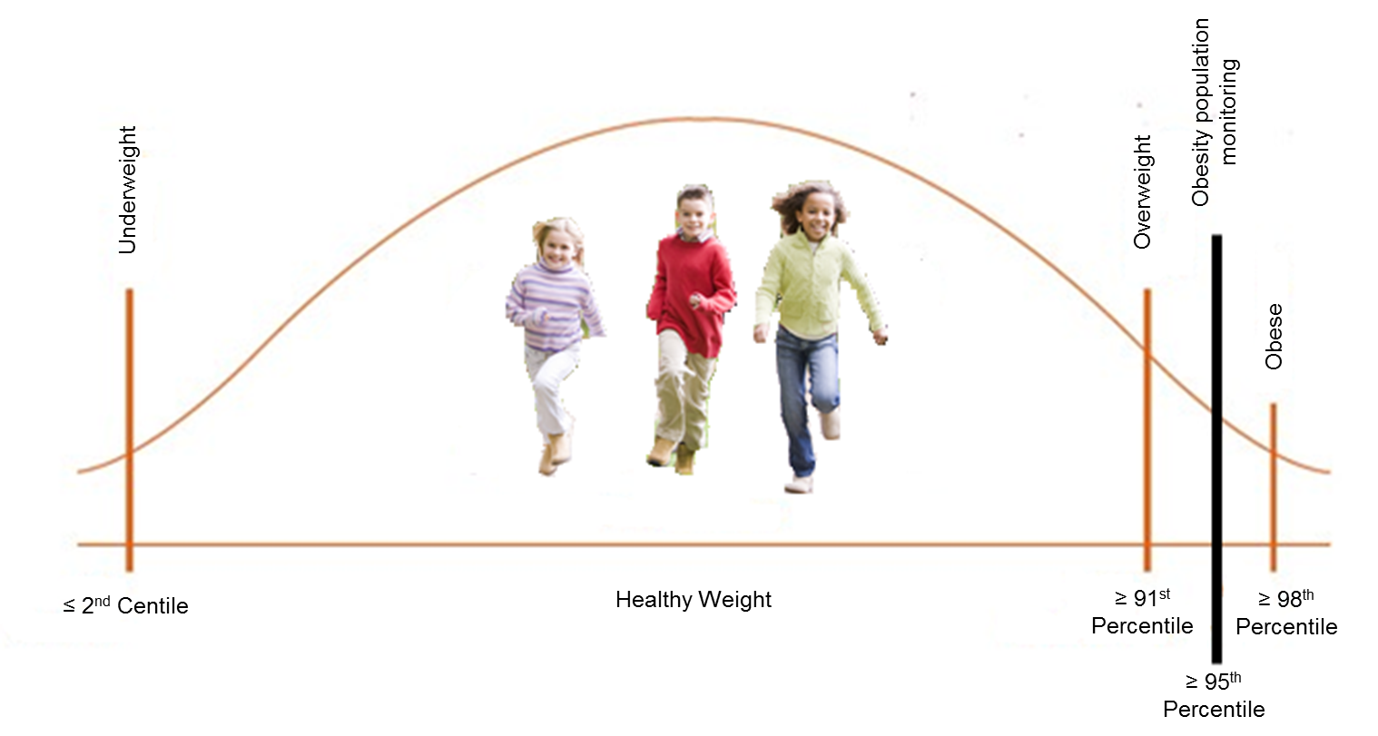 Percentile scale for body fat percentage in relation to age