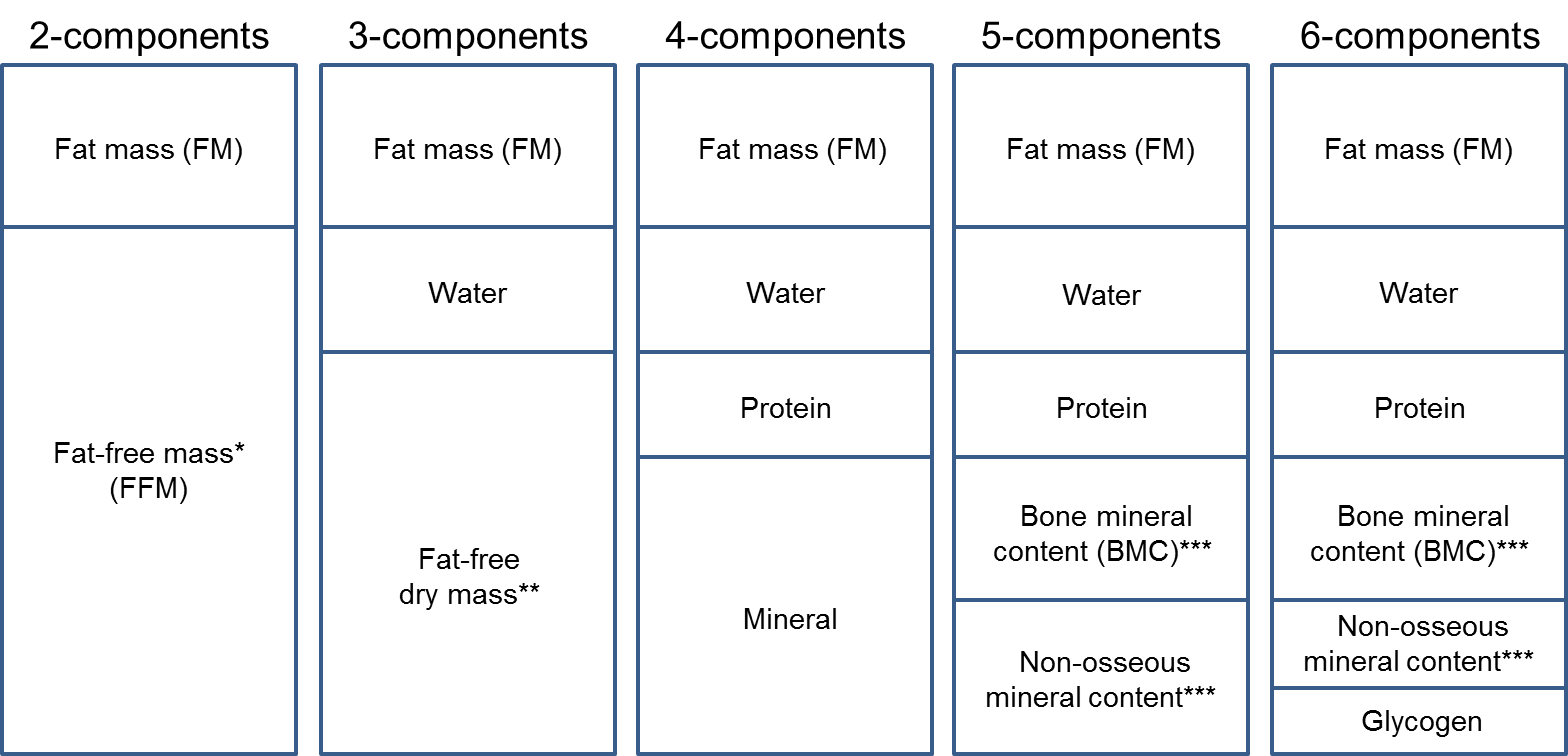 https://www.measurement-toolkit.org/images/anthropometry/mcm1.png