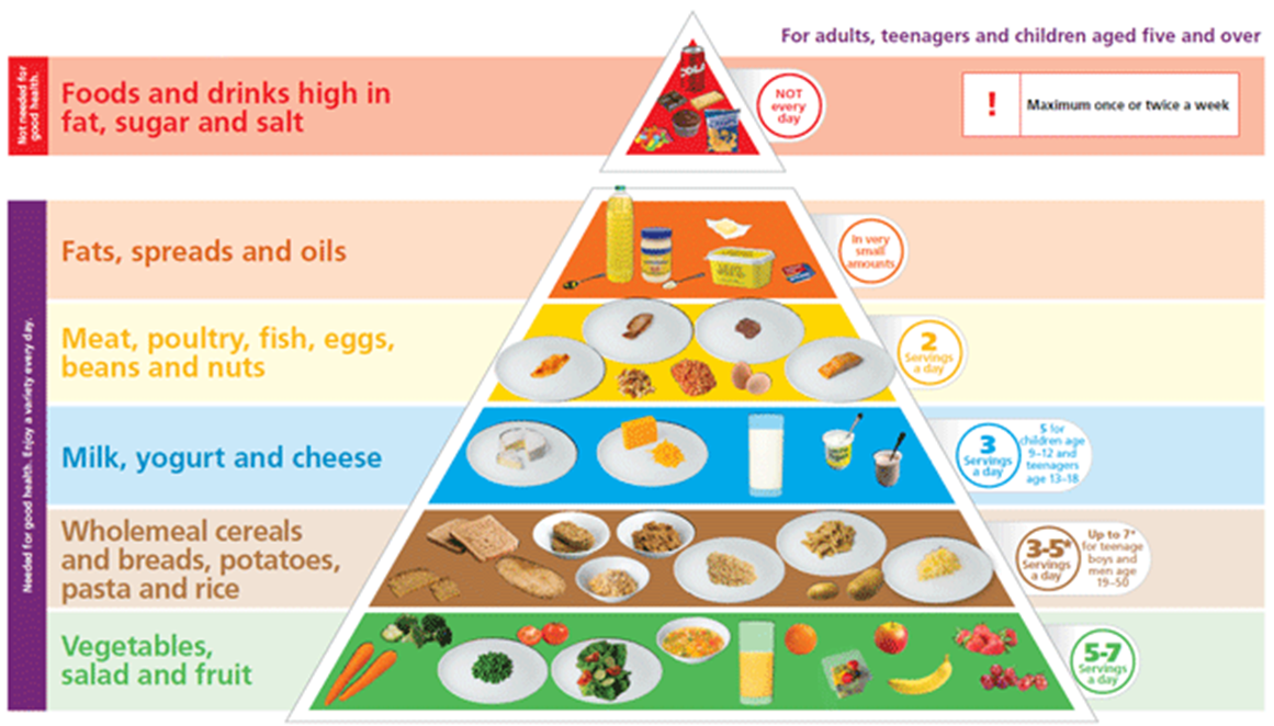 Measurement Toolkit - Dietary adequacy and nutritional requirements
